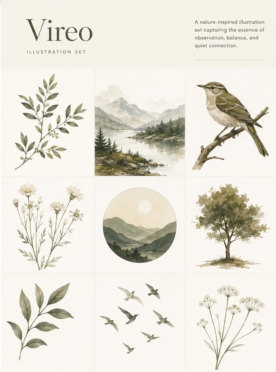 Vireo